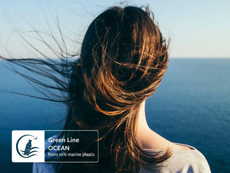 container-with-image-green-line-ocean-logo_eng