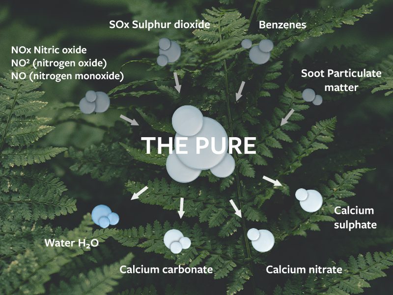 container-with-image-the-pure-infografik_eng
