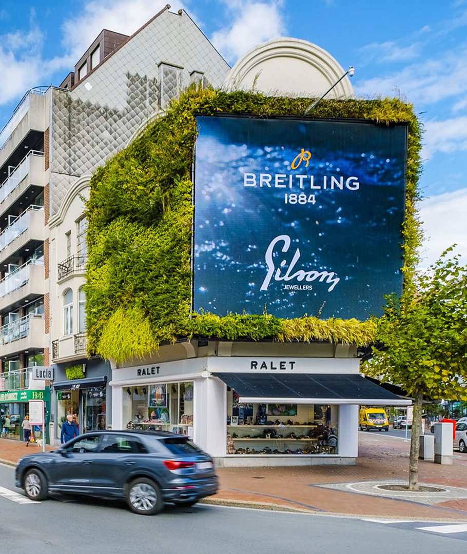 grey-with-image_the-green-vg_niederlande