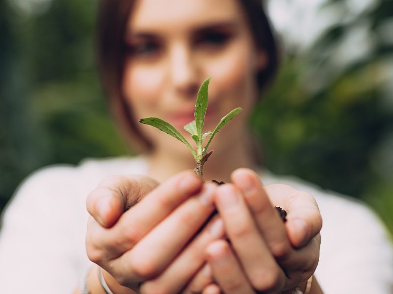 nachhaltigkeit_greencity_