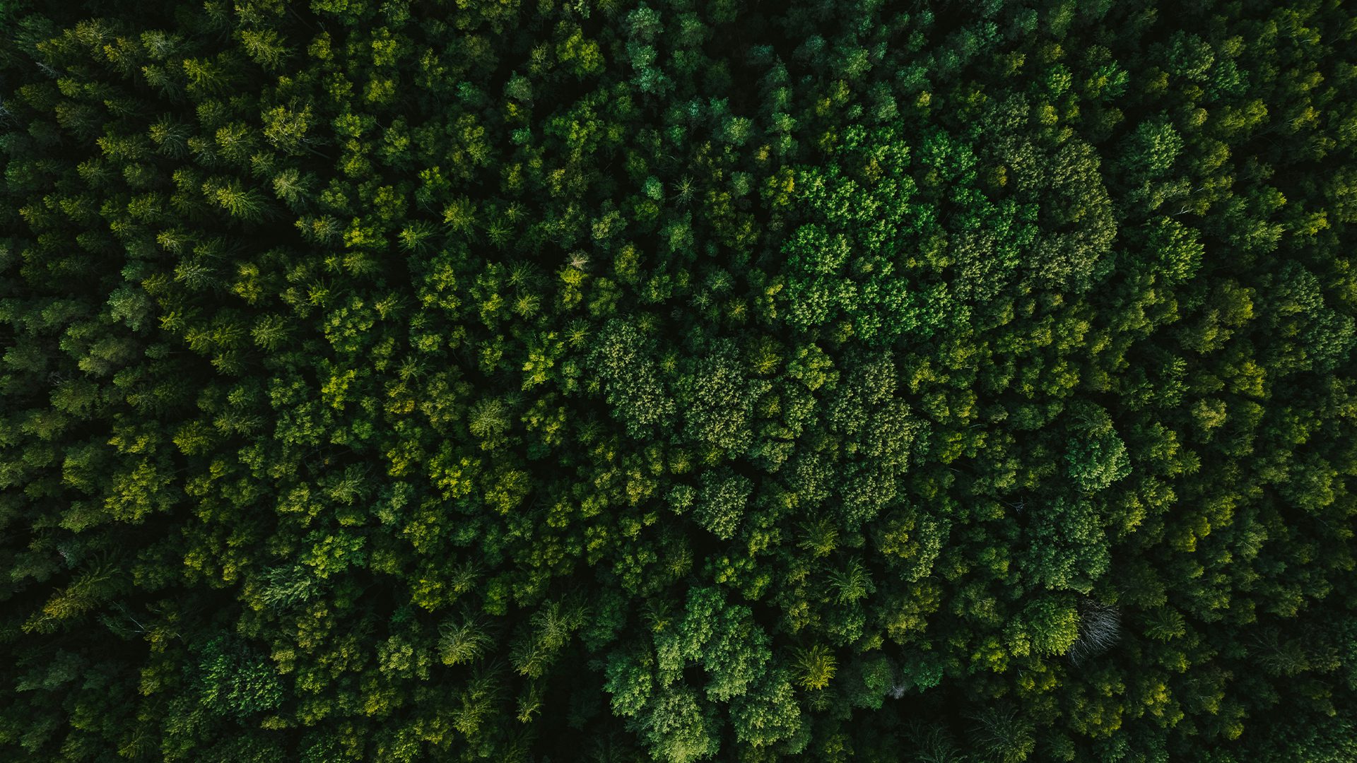 hero-blog_co2-bilanliert_image-2