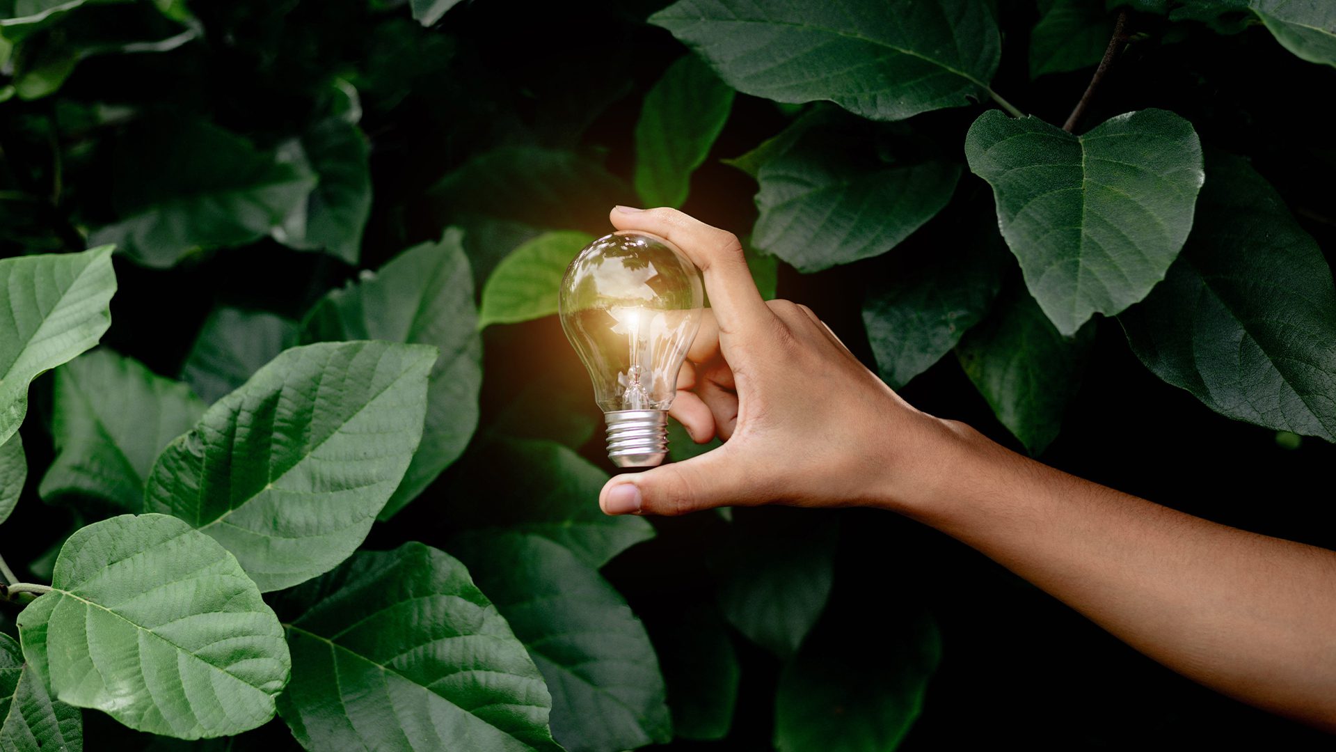 hero-blog_green-energy_image-2